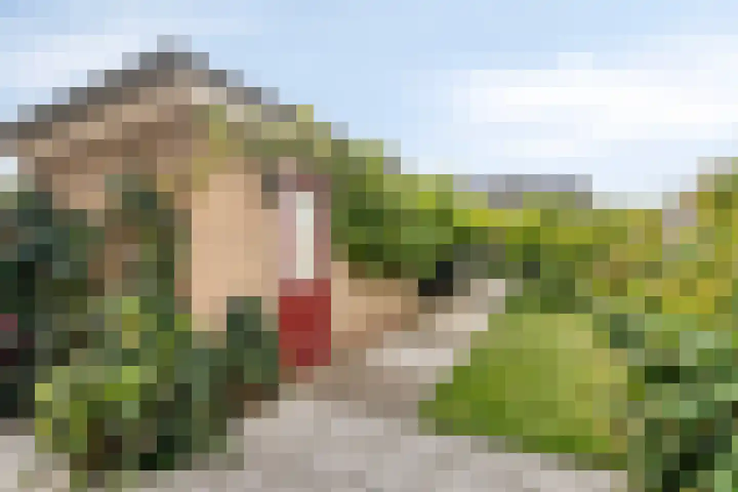Reigerstraat 6 Goor thumbnail 21
