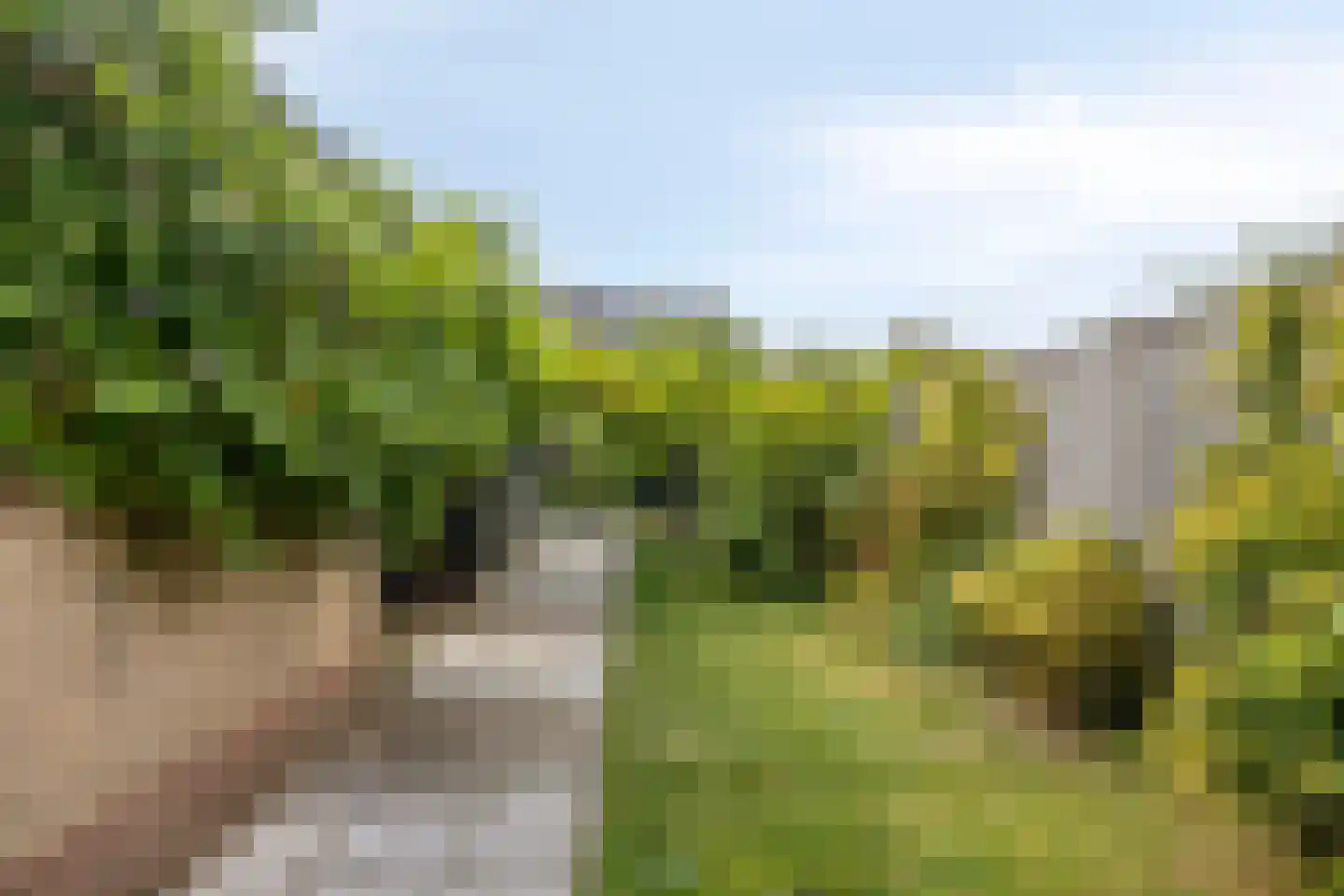 Reigerstraat 6 Goor thumbnail 22