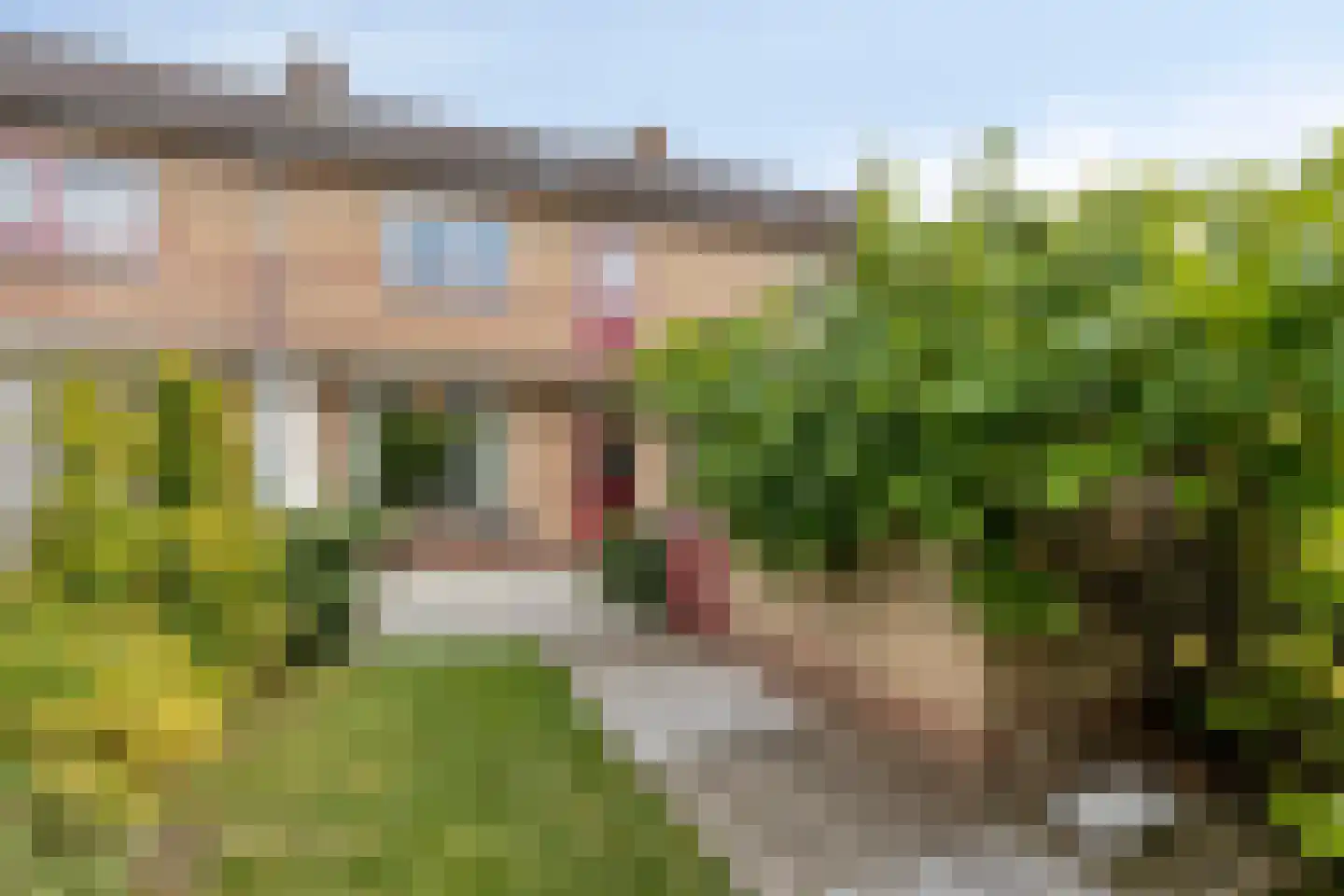 Reigerstraat 6 Goor thumbnail 26