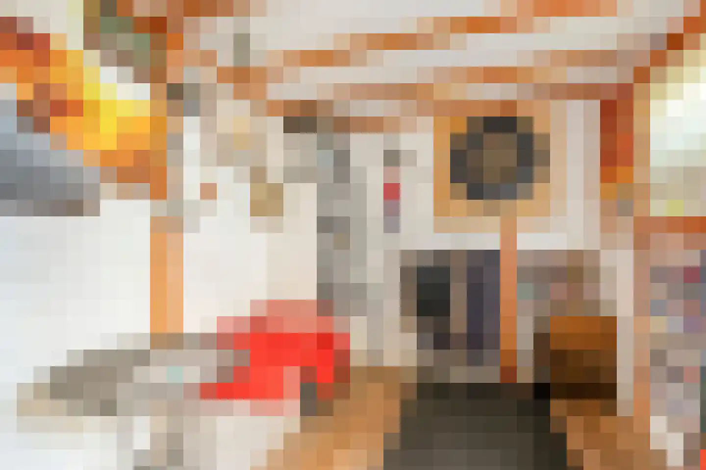 Reigerstraat 6 Goor thumbnail 27