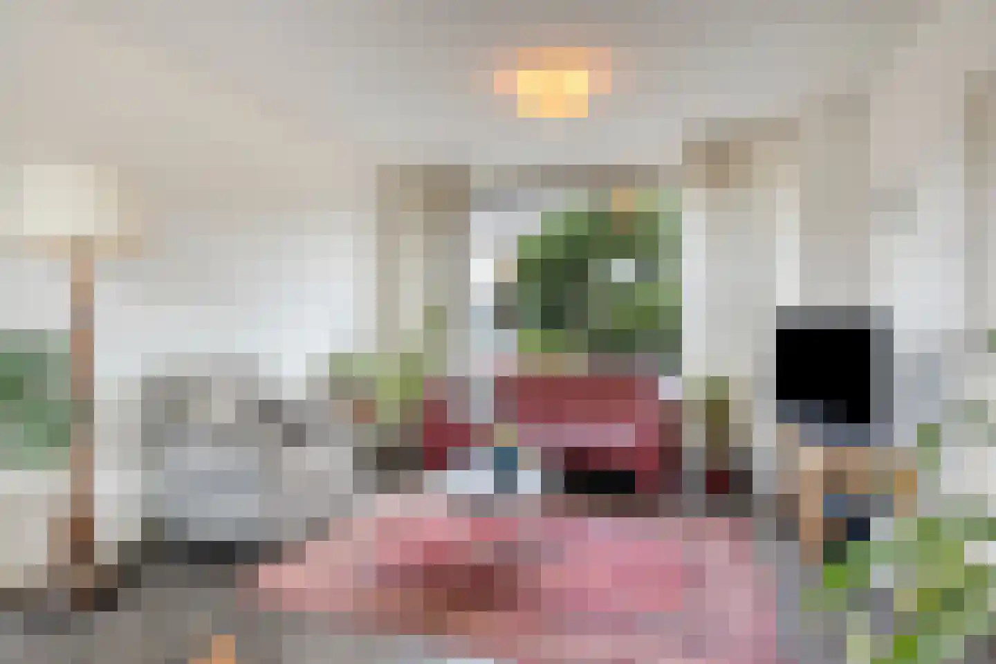 Reigerstraat 6 Goor thumbnail 4