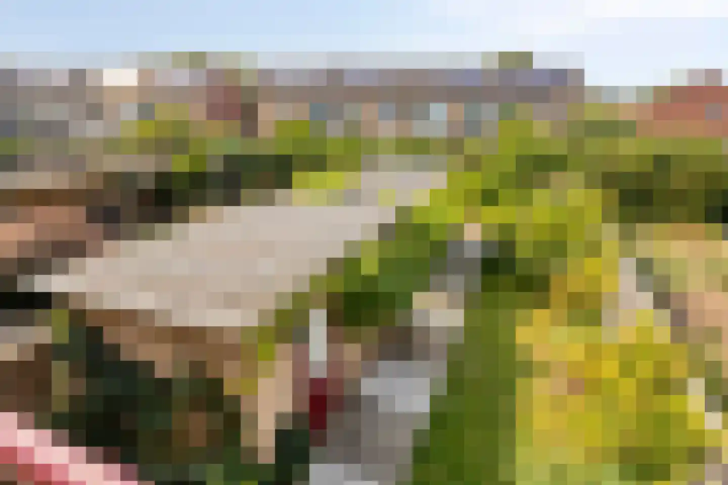 Reigerstraat 6 Goor thumbnail 6