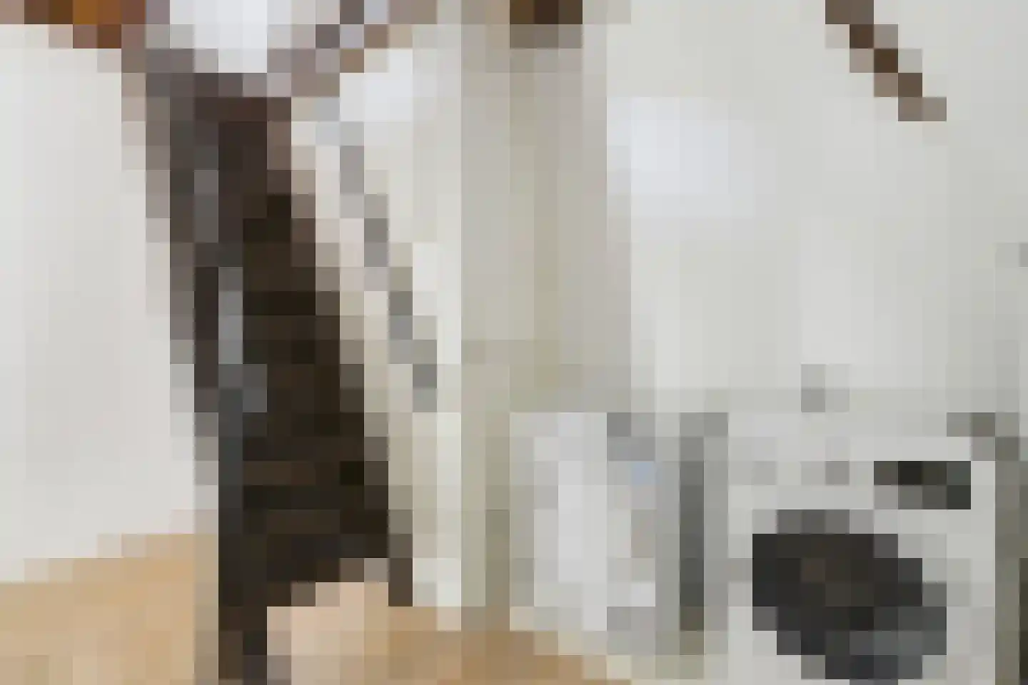 Reigerstraat 6 Middelburg thumbnail 41