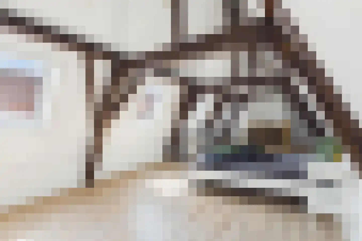 Reigerstraat 6 Middelburg thumbnail 48