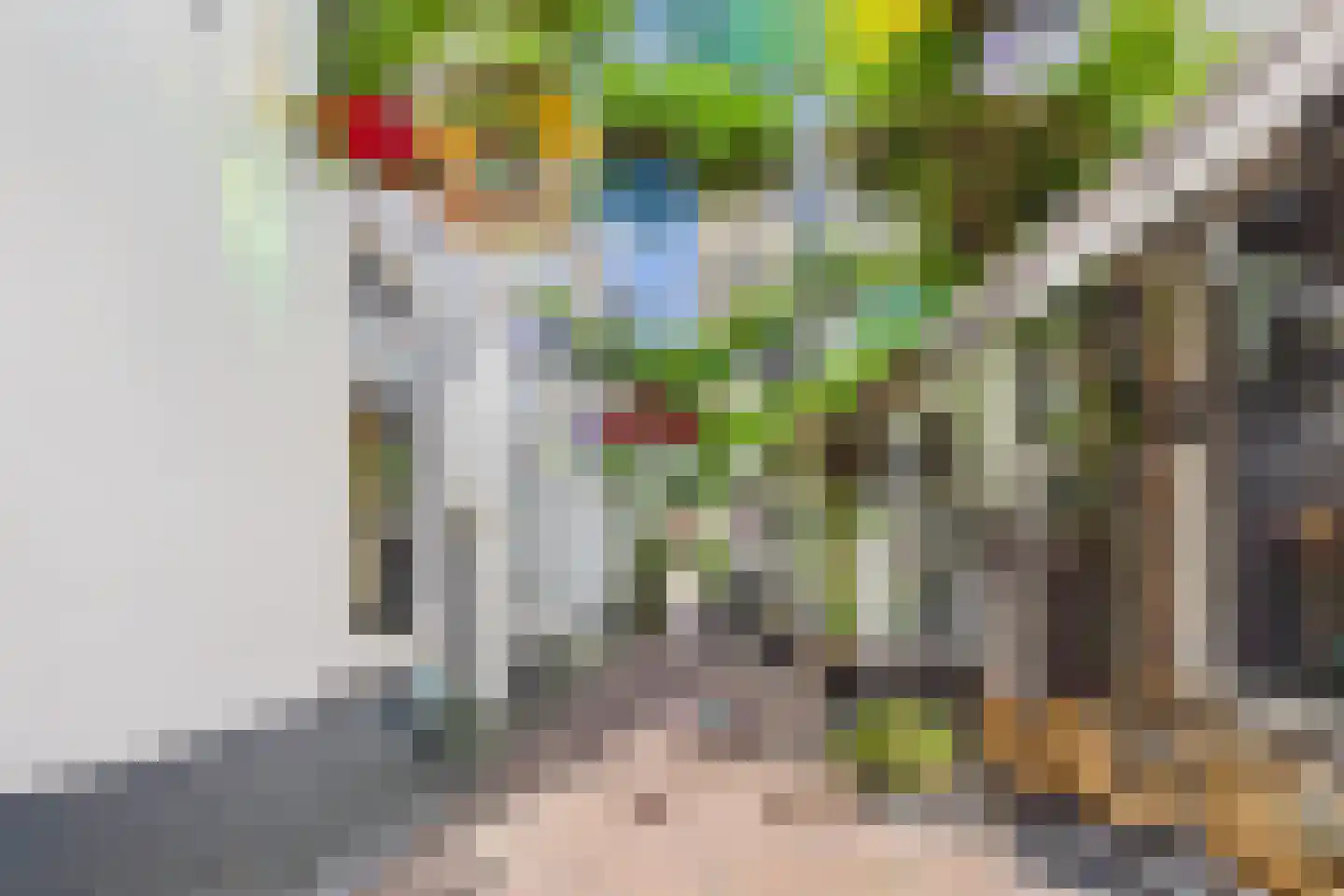 Reigerstraat 6 Middelburg thumbnail 5