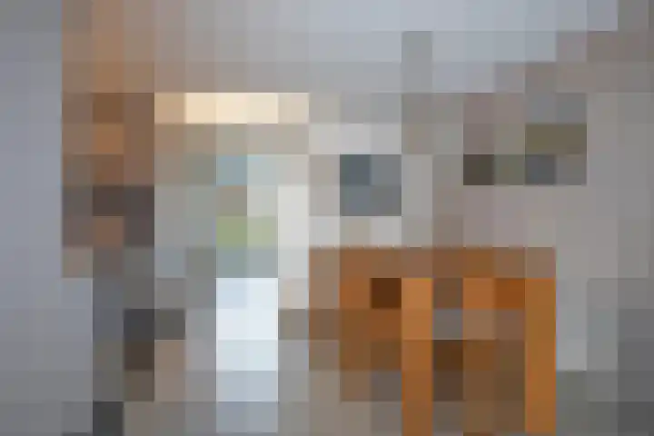 Reigerstraat 64 Rijssen thumbnail 10