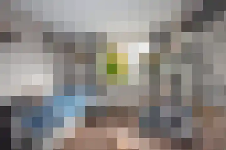 Reigerstraat 64 Rijssen thumbnail 15