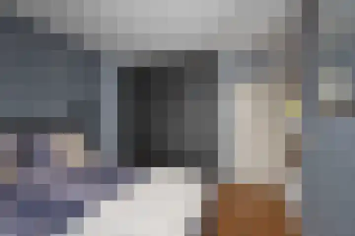 Reigerstraat 64 Rijssen thumbnail 17