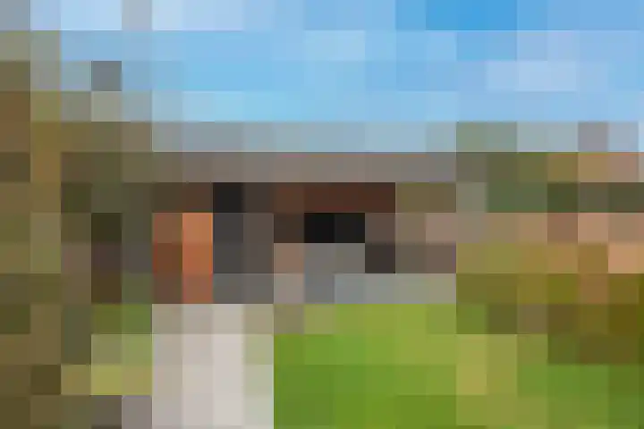 Reigerstraat 64 Rijssen thumbnail 23