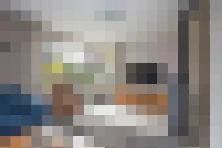 Reigerstraat 64 Rijssen thumbnail 8