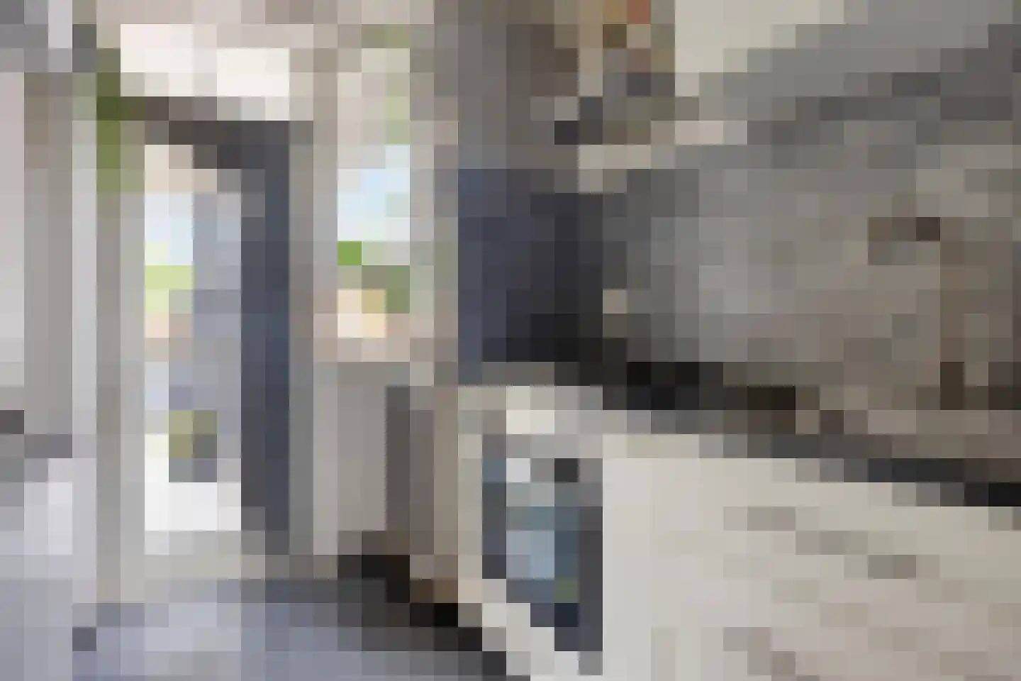 Reigerstraat 8 Dordrecht thumbnail 6