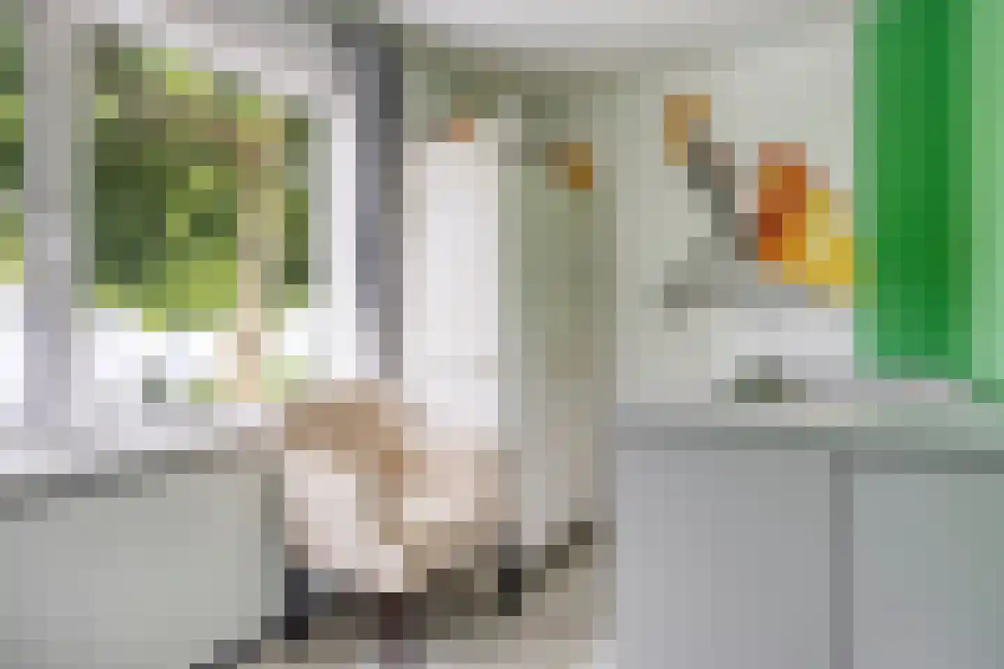 Reigerstraat 8 Dordrecht thumbnail 8