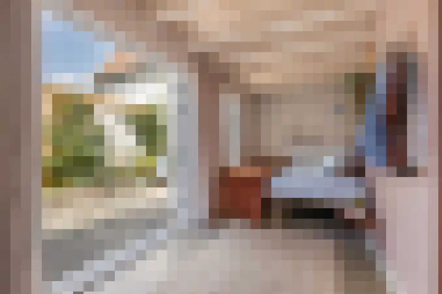 Reigerstraat 81 Haarlem thumbnail 16