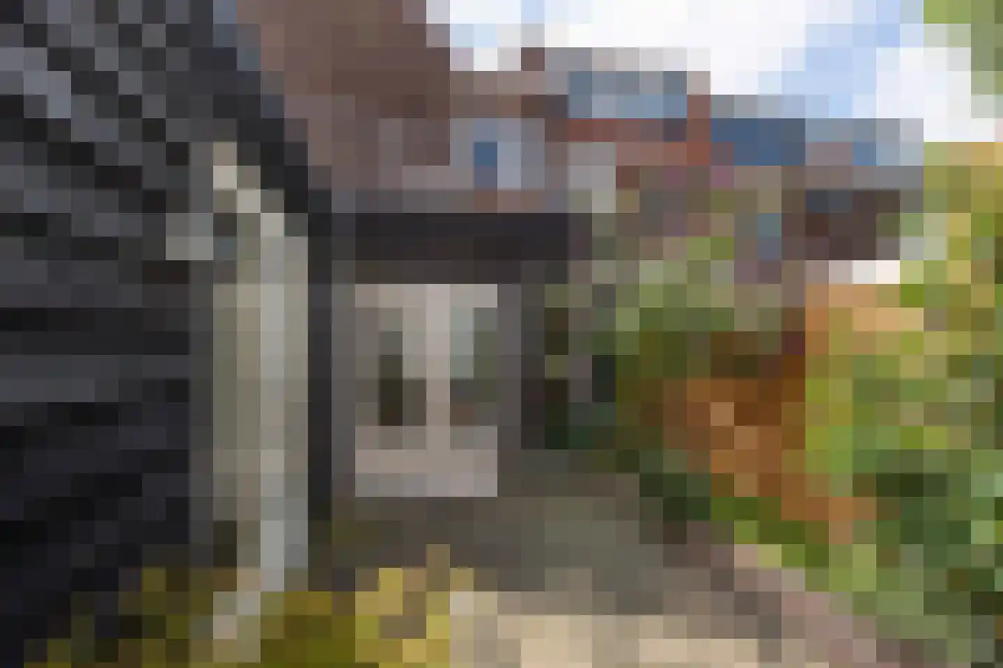 Reigerstraat 81 Haarlem thumbnail 26