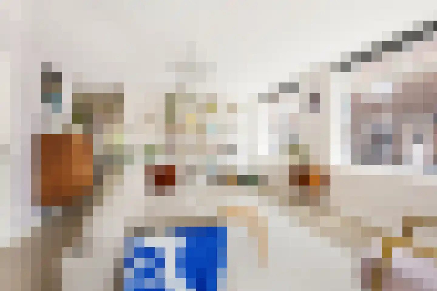 Reigerstraat 81 Haarlem thumbnail 5