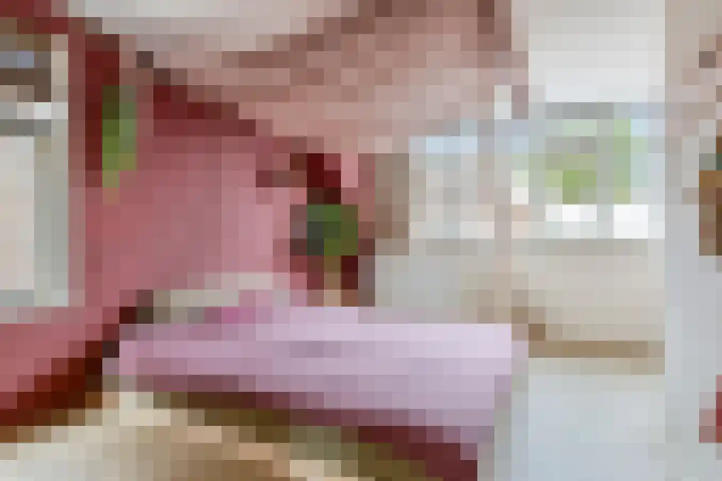 Reigerstraat 83 Zaandam thumbnail 27
