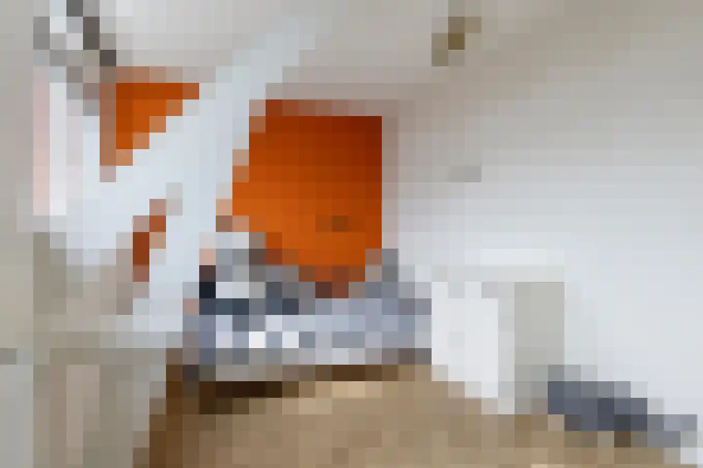 Reigerstraat 83 Zaandam thumbnail 32