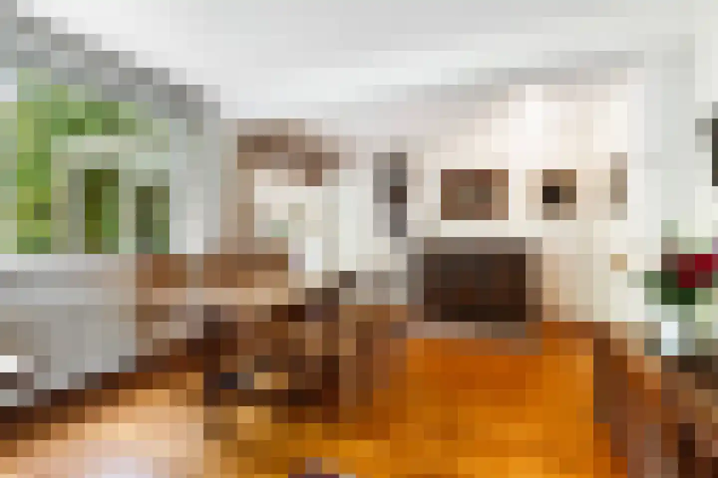 Reigerstraat 9 Velp thumbnail 18