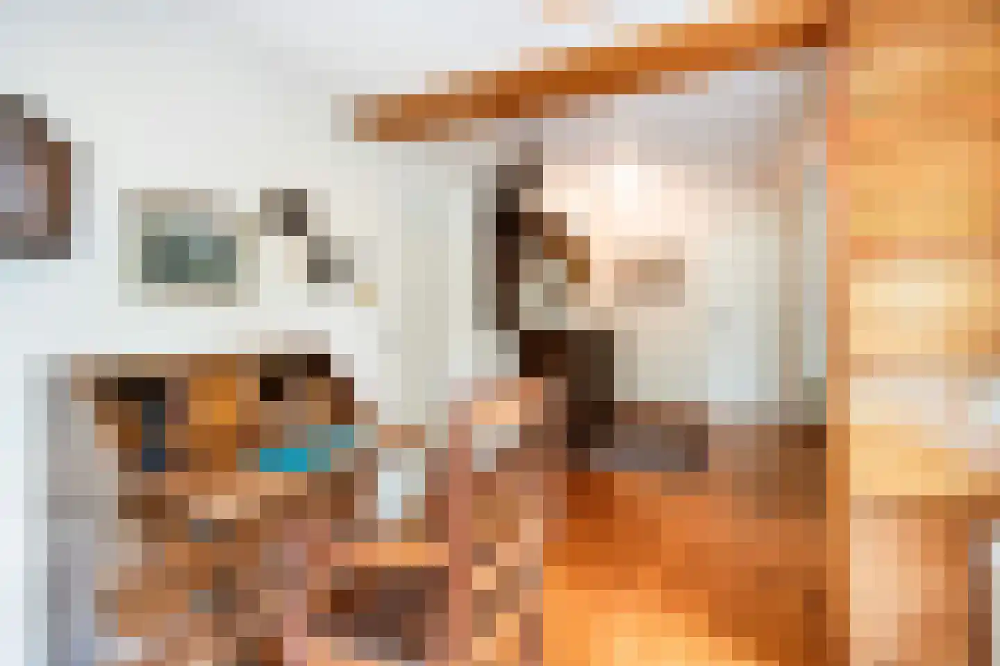 Reigerstraat 9 Velp thumbnail 24