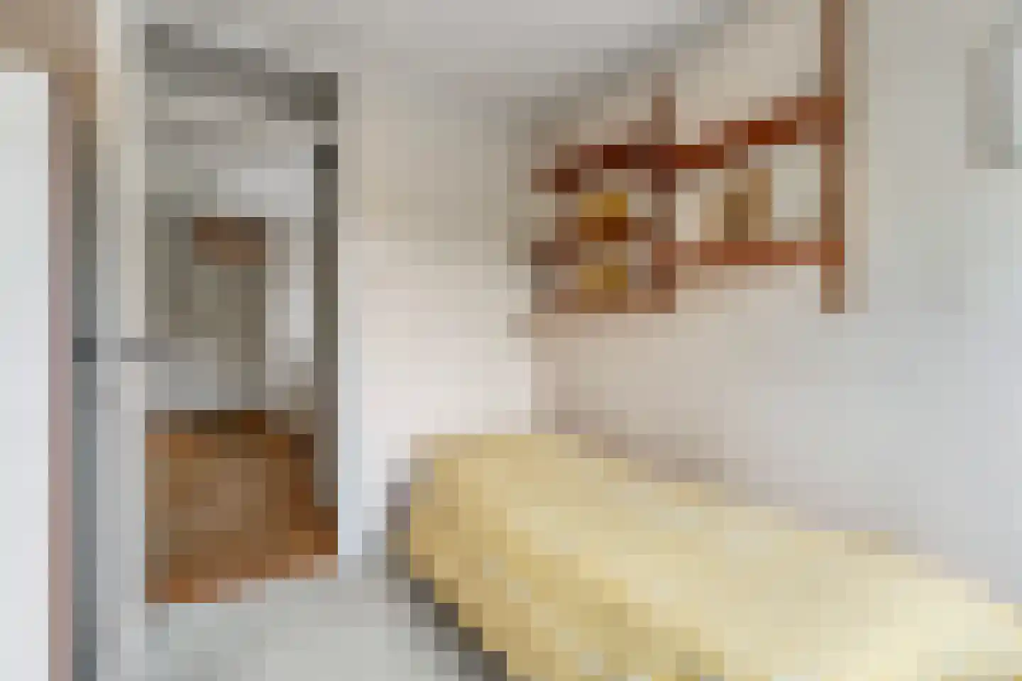 Reigerstraat 9 Velp thumbnail 36