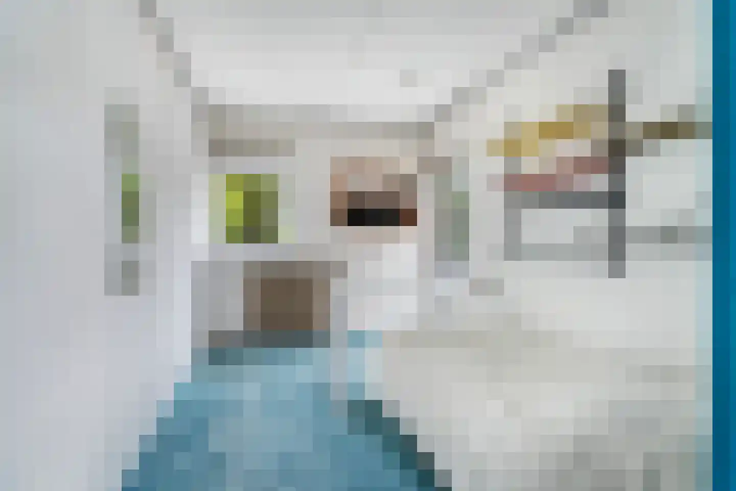 Reigerstraat 9 Velp thumbnail 38