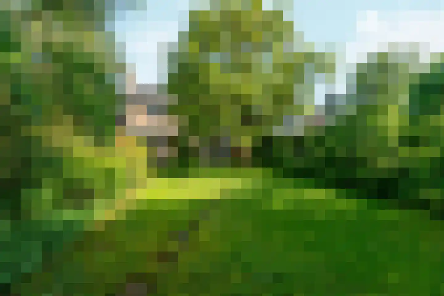 Reigerstraat 9 Velp thumbnail 4