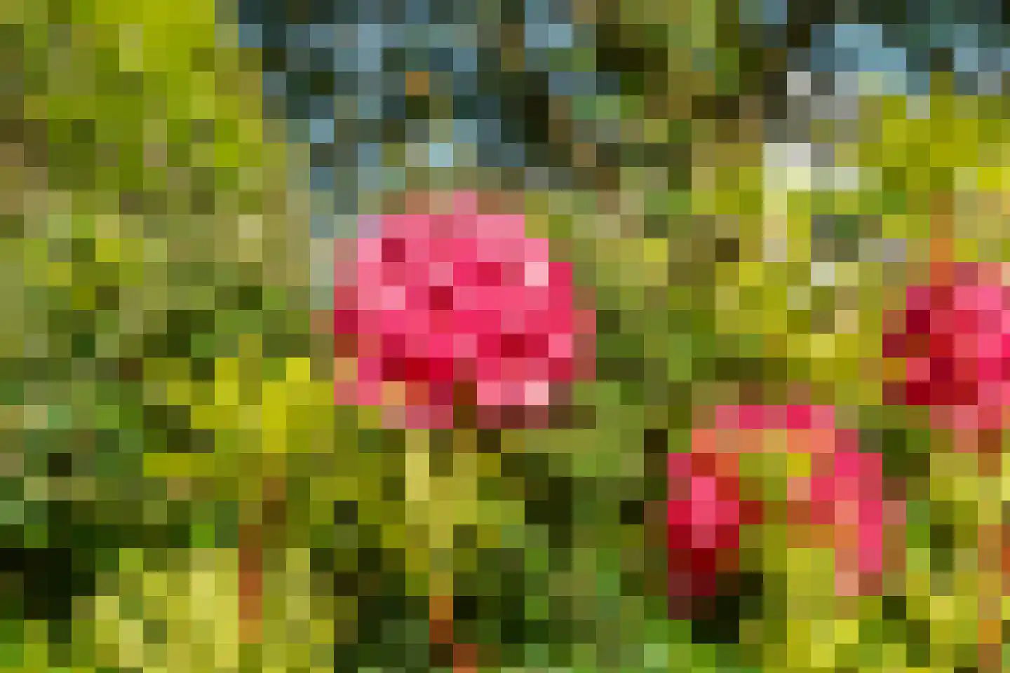 Reigerstraat 9 Velp thumbnail 46
