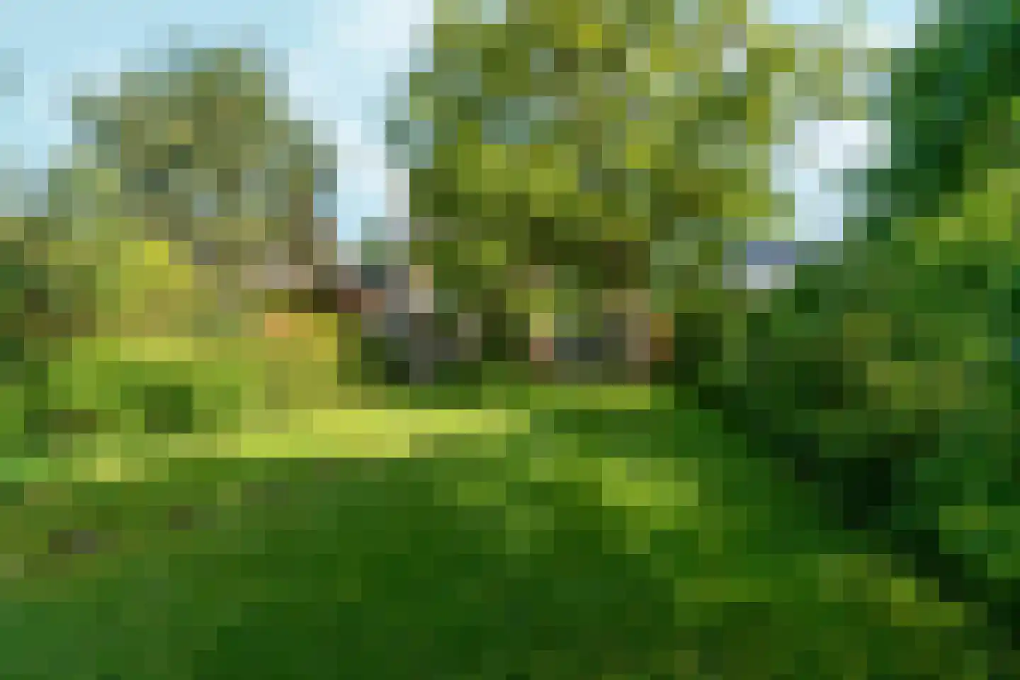 Reigerstraat 9 Velp thumbnail 47