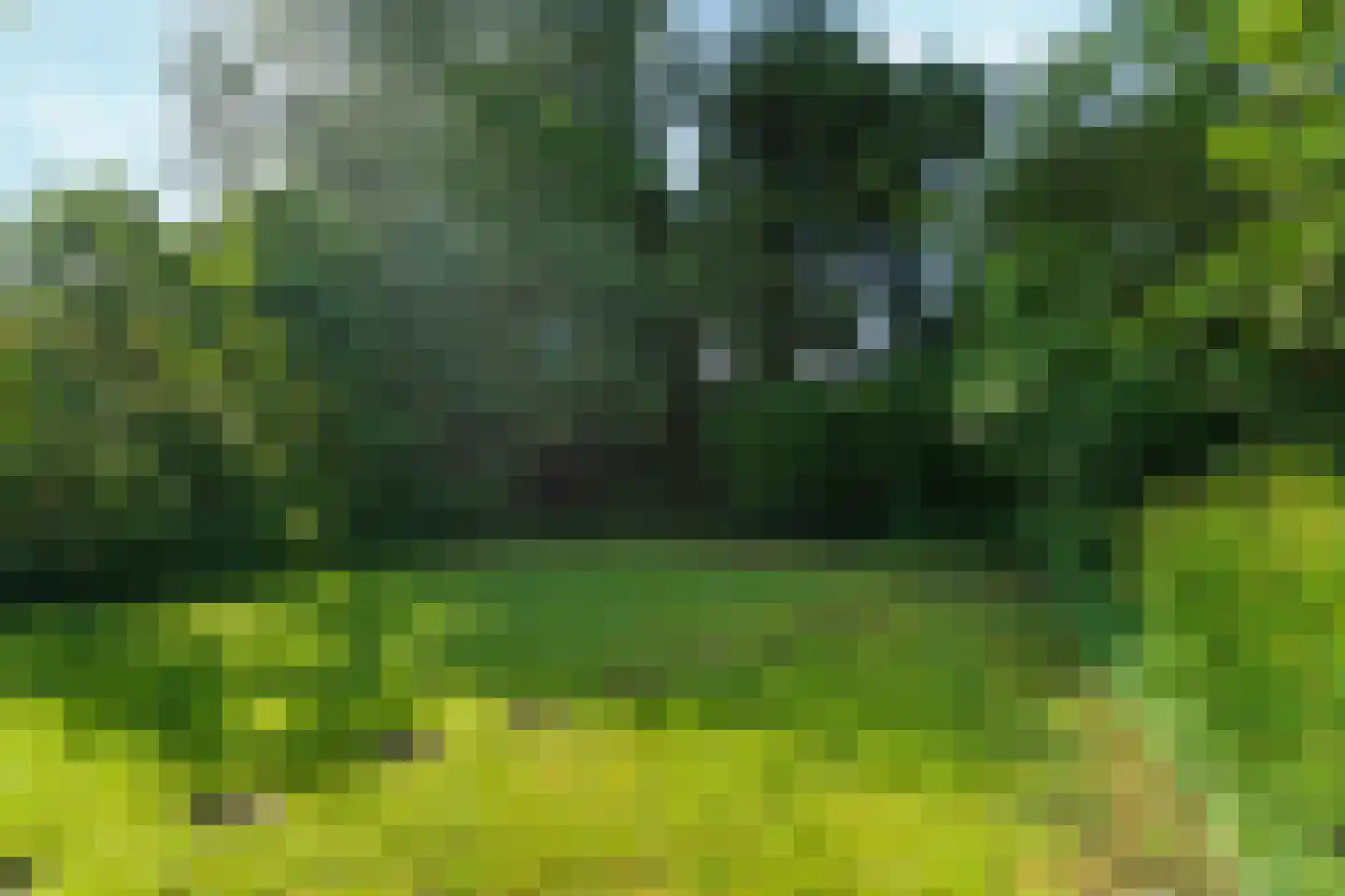 Reigerstraat 9 Velp thumbnail 48