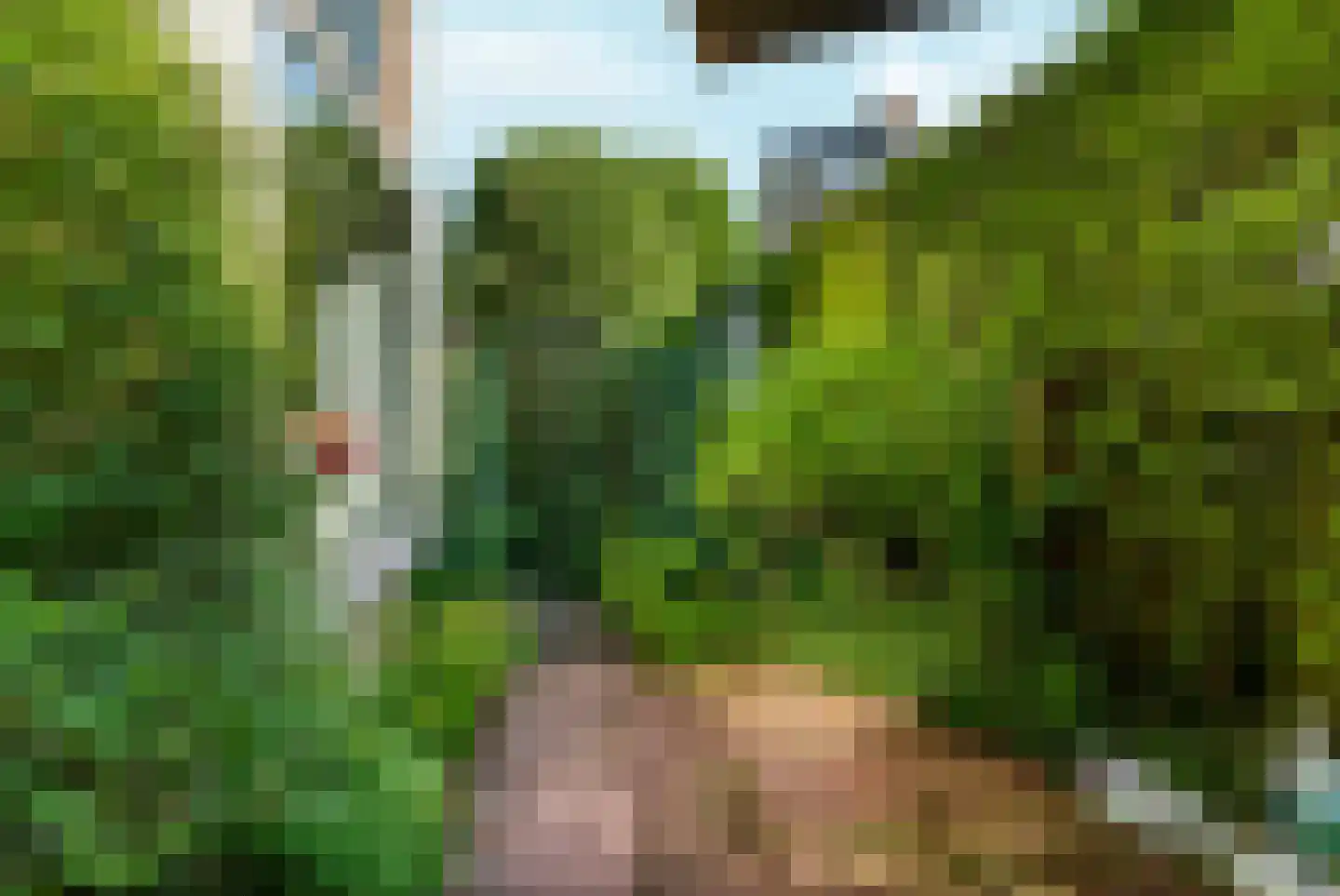Reigerstraat 9 Velp thumbnail 49