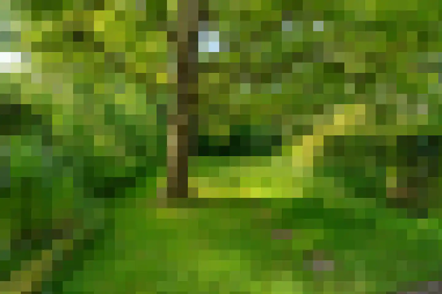Reigerstraat 9 Velp thumbnail 5