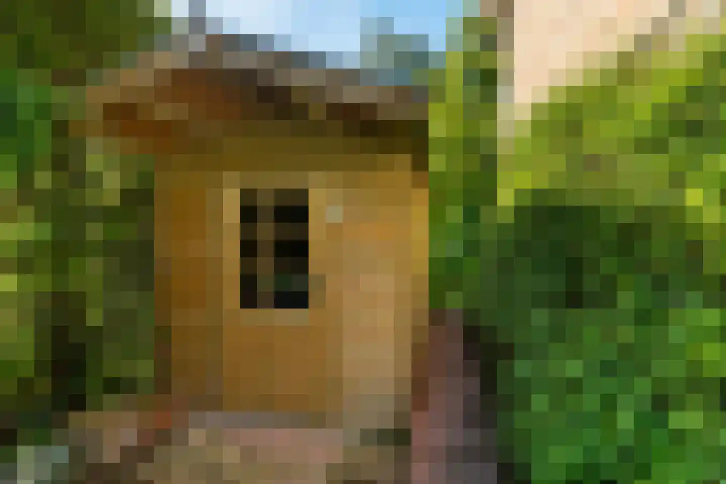 Reigerstraat 9 Velp thumbnail 50