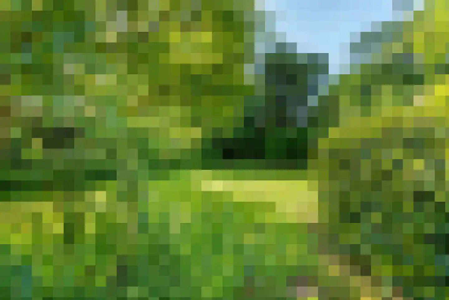 Reigerstraat 9 Velp thumbnail 51