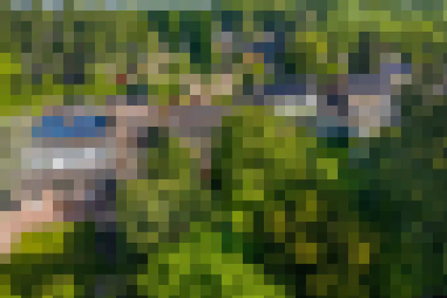 Reigerstraat 9 Velp thumbnail 53
