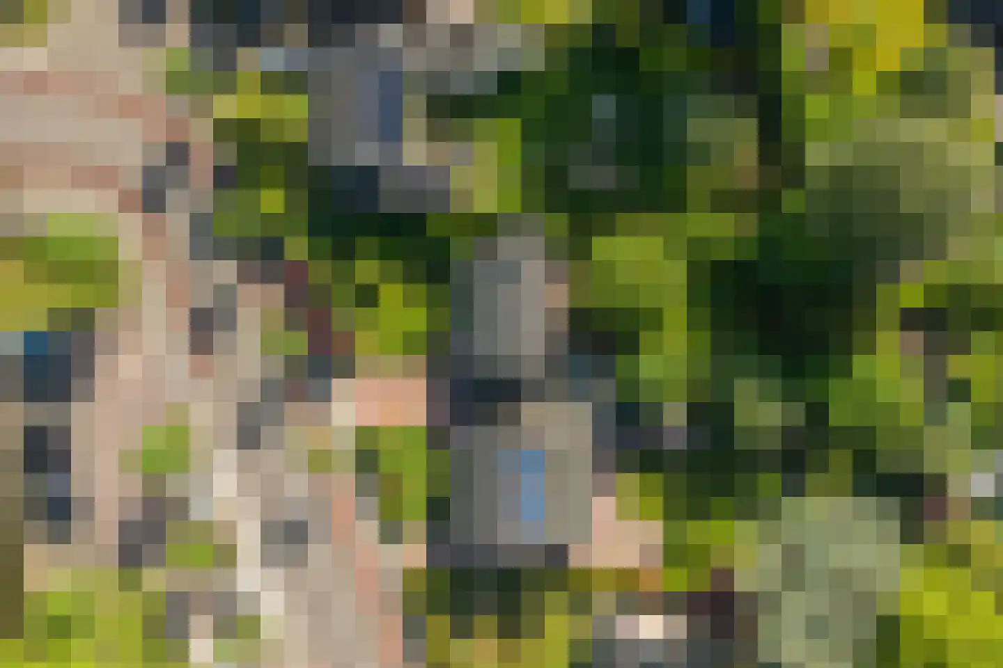 Reigerstraat 9 Velp thumbnail 6