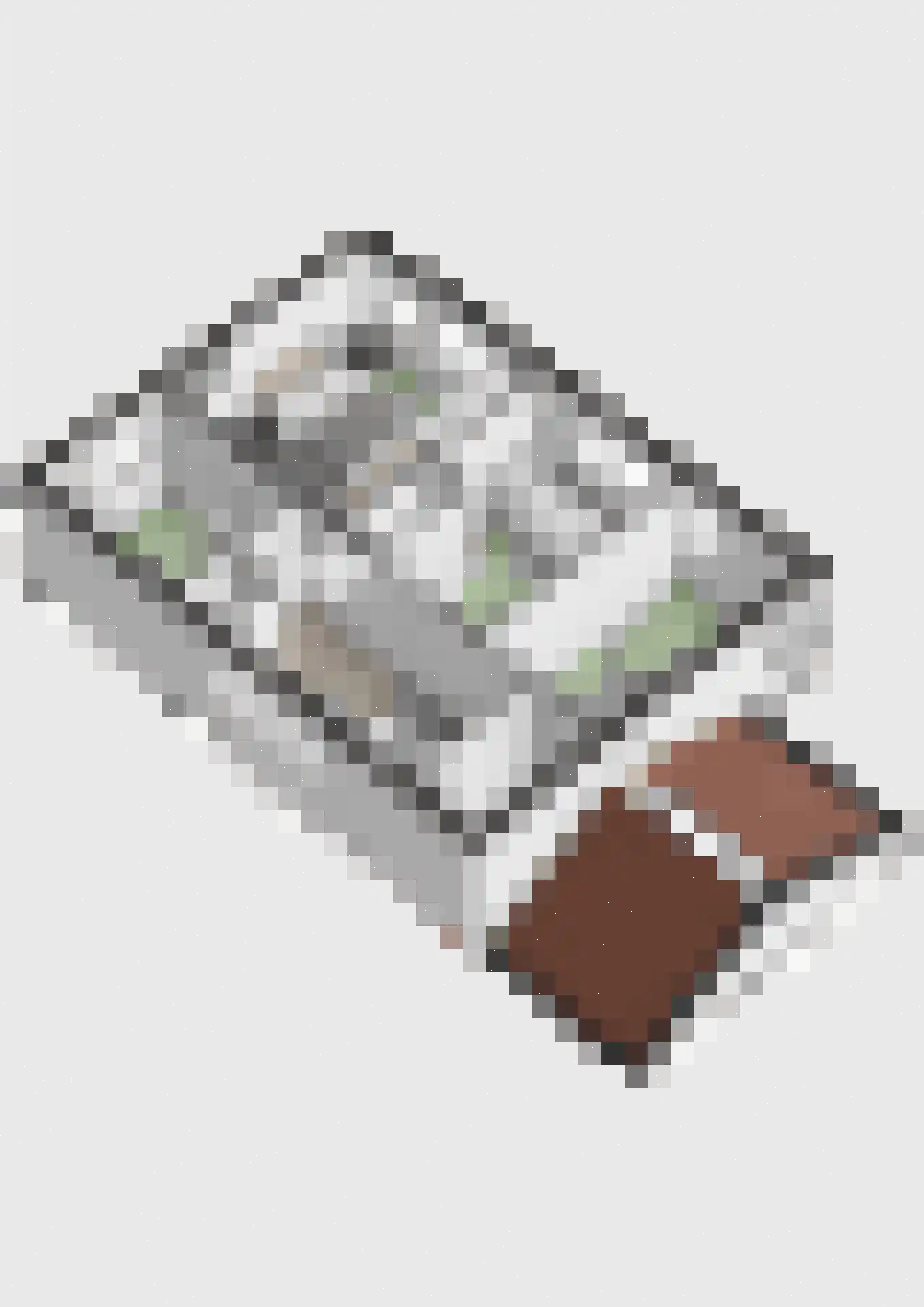 Reigerstraat 9 Velp thumbnail 64