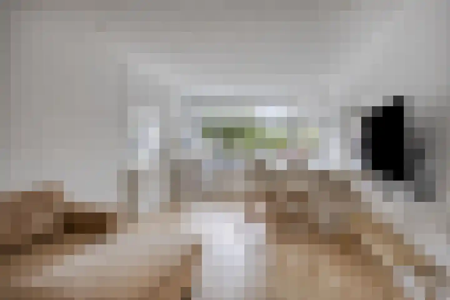 Reigerstraat 9 Wormerveer thumbnail 10