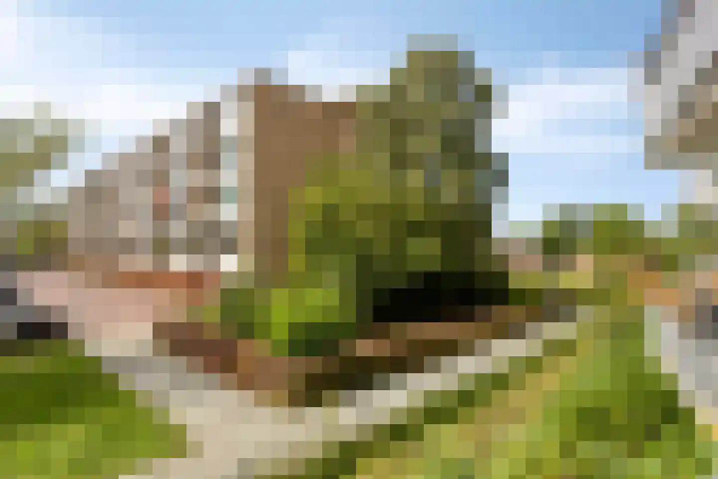 Reigerstraat 9 Wormerveer thumbnail 23
