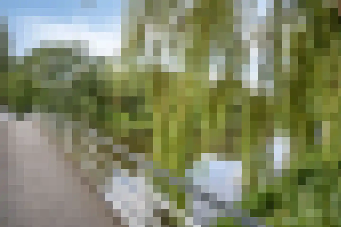 Reigerstraat 9 Wormerveer thumbnail 30