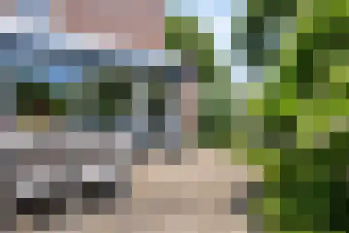 Reigerstraat 9 Zierikzee thumbnail 29
