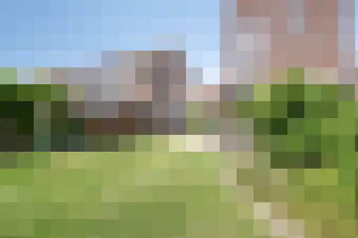 Reigerstraat 9 Zierikzee thumbnail 30