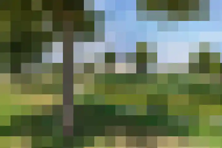Reigerstraat 9 Zierikzee thumbnail 34