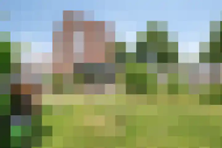 Reigerstraat 9 Zierikzee thumbnail 4