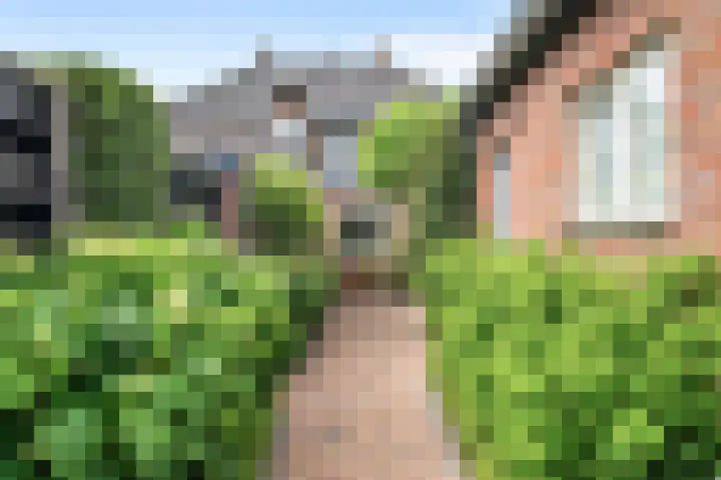 Reigersweg 120 2 Apeldoorn thumbnail 29