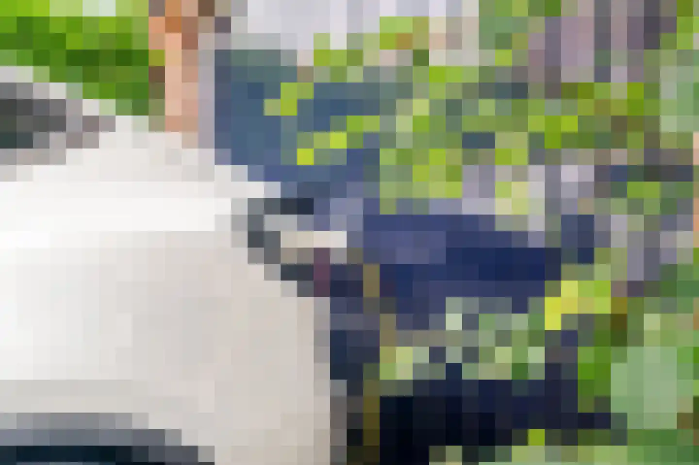 Reigersweg 120 2 Apeldoorn thumbnail 31