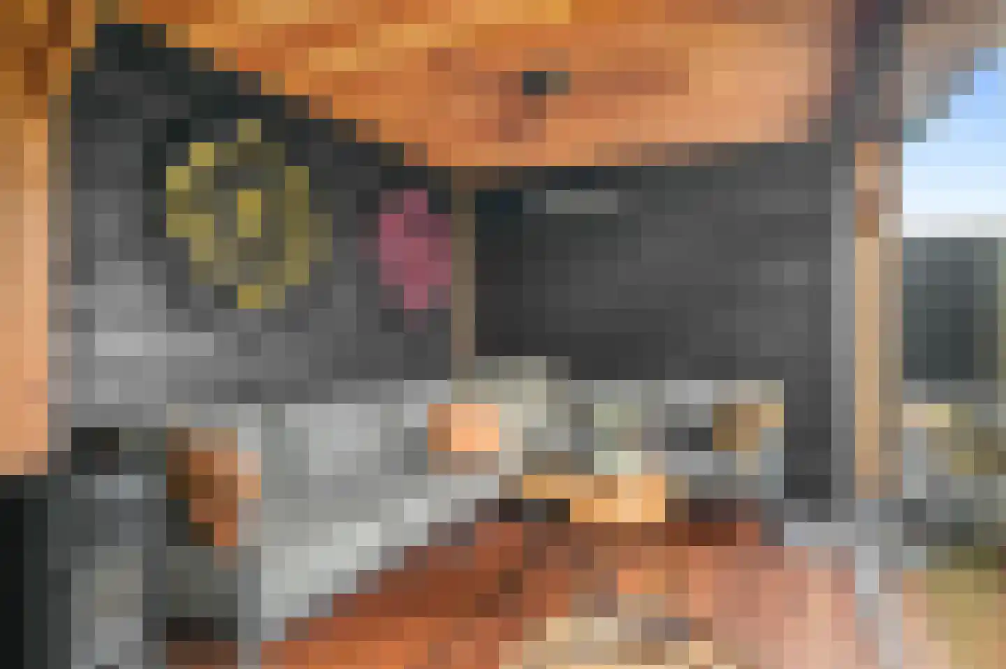 Reigersweg 120 2 Apeldoorn thumbnail 39