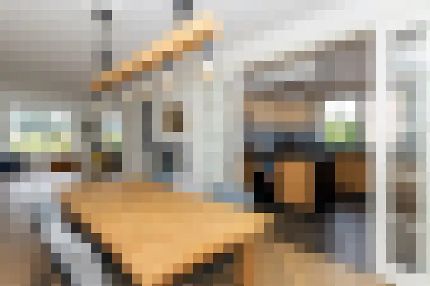 Reigersweg 17 a Wapenveld thumbnail 15