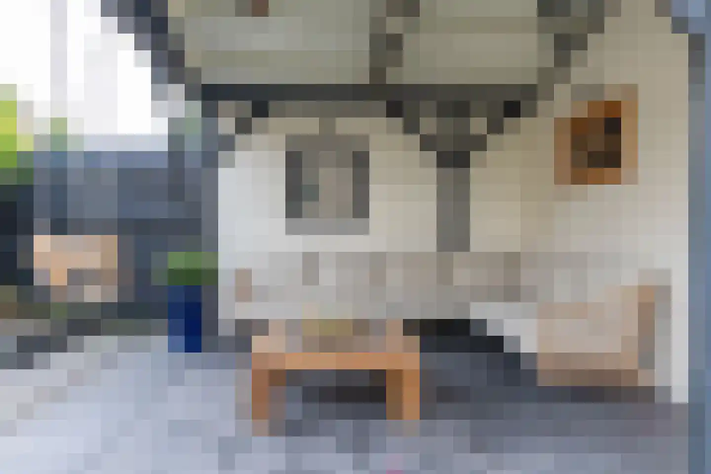 Reigersweg 17 a Wapenveld thumbnail 44