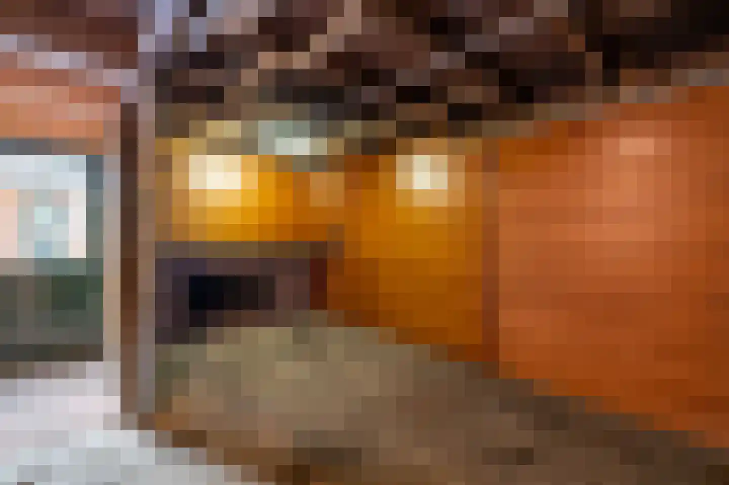 Reigersweg 23 B Apeldoorn thumbnail 23