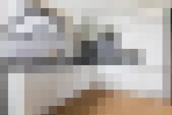 Reigersweg 3 Apeldoorn thumbnail 12